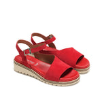 D8771-AC ANTE BERMELLON-3