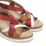 F2135 HABANA CEREZA+COM.1-5