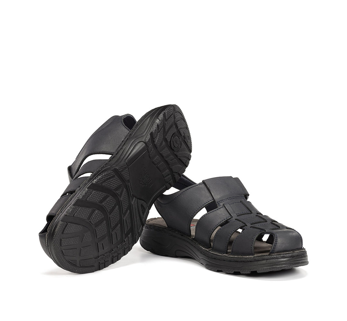 F2198 GAUCHO MARINO-3