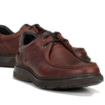 9595 GRASS LIBANO+COM.2-10