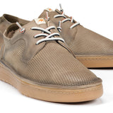 F1947 VEGABUCK MARMOTA+COM.4-6