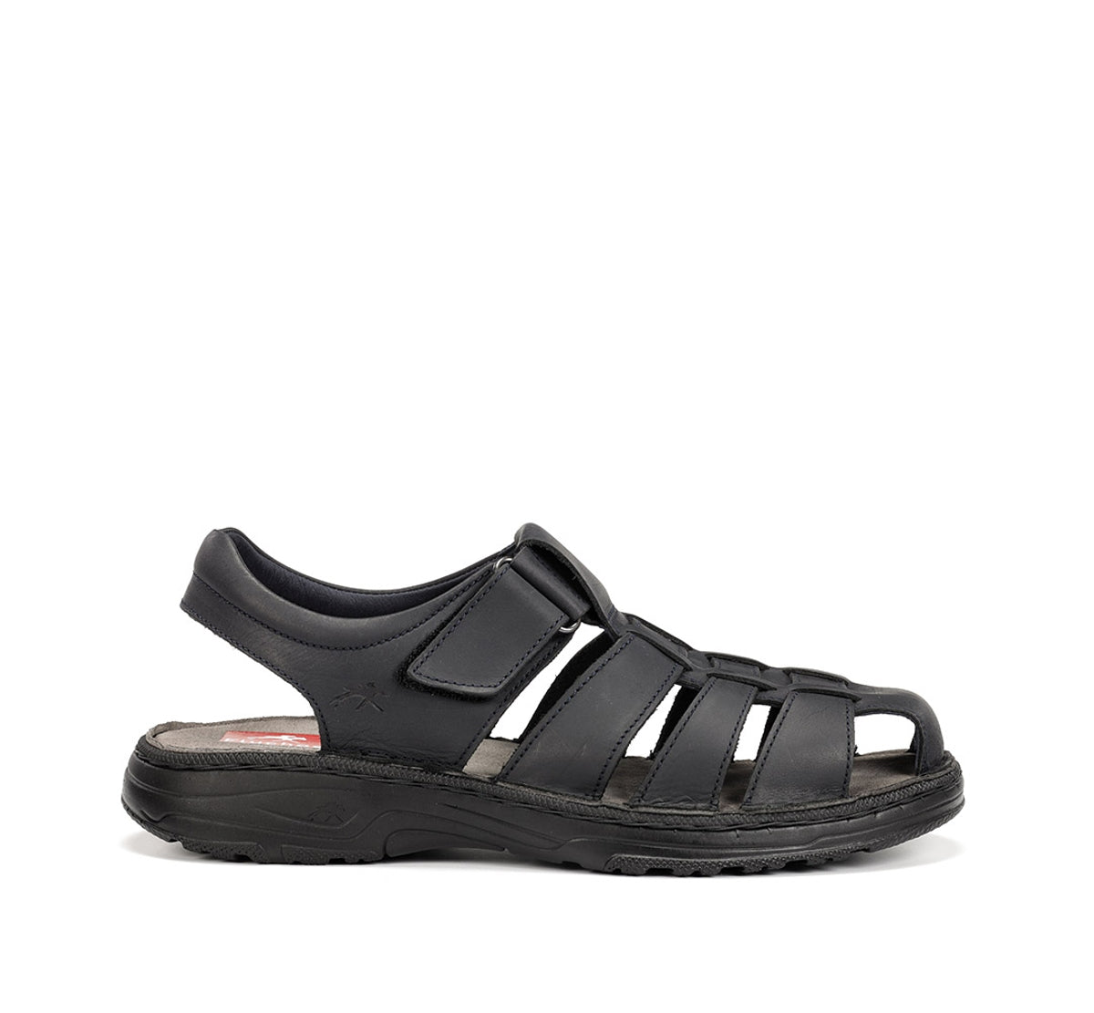 F2198 GAUCHO MARINO-0