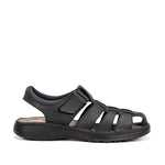 F2198 GAUCHO MARINO-0