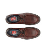 9595 GRASS LIBANO+COM.2-8