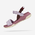 AT188 TERRAIN PURPLE-10