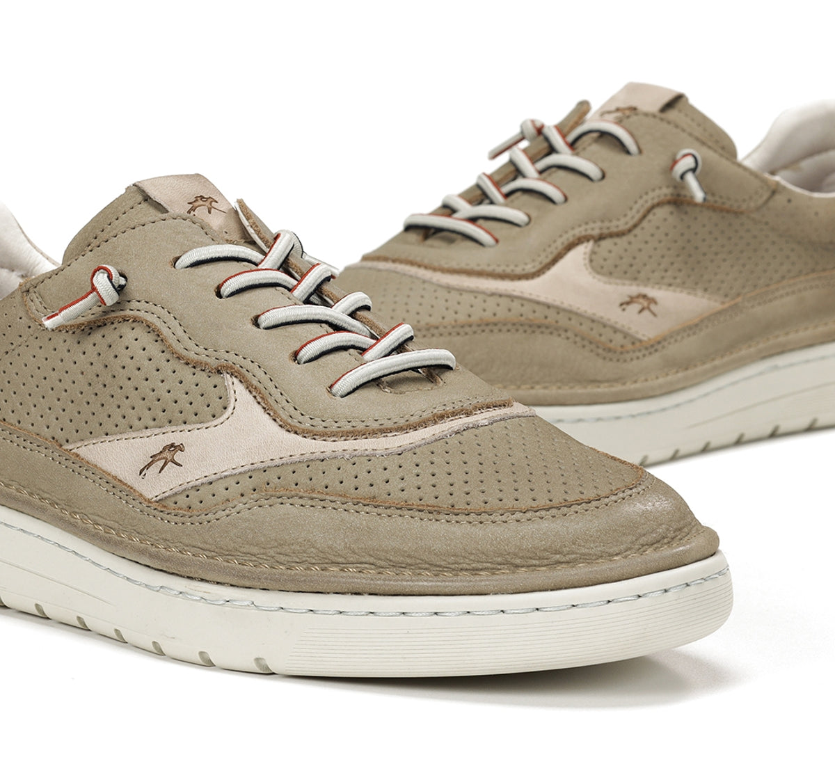 F1943 VEGABUCK TORTORA+COM.5-7