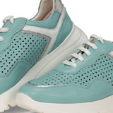 F1680 SUGAR AGUA+COM.1-5