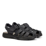 F2198 GAUCHO MARINO-1