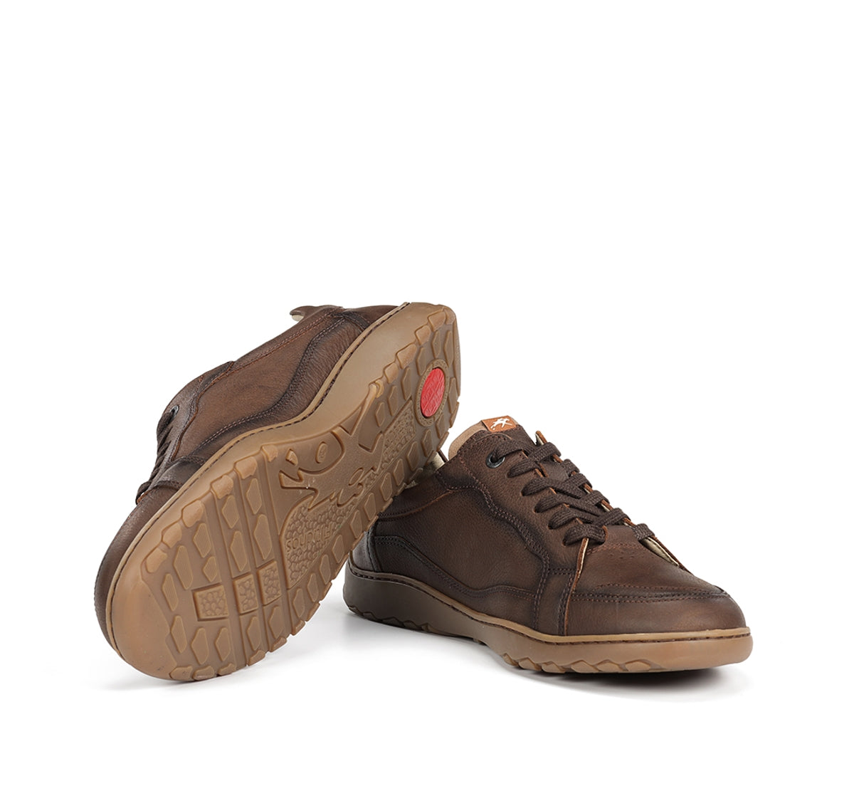 F2220 VEGABUCK CAFE+COM.1-3