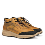 F2295 VEGABUCK HIDRO TIMBER+COM.5-1