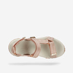 AT187 INFINITY LIGHT ROSE-12