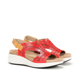 F1481 TIBET ROJO CAMEL-1