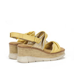 D9004-SUPE SUGAR+PETRA TRIGO + PLATINO-2