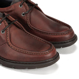 9595 GRASS LIBANO+COM.2-9