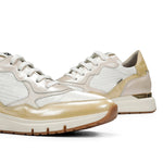 D9048NCSEC NACAR.LIMON C-1 LIMON C-1-6