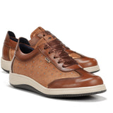 F2329 SUGAR CUERO+COM.1-5