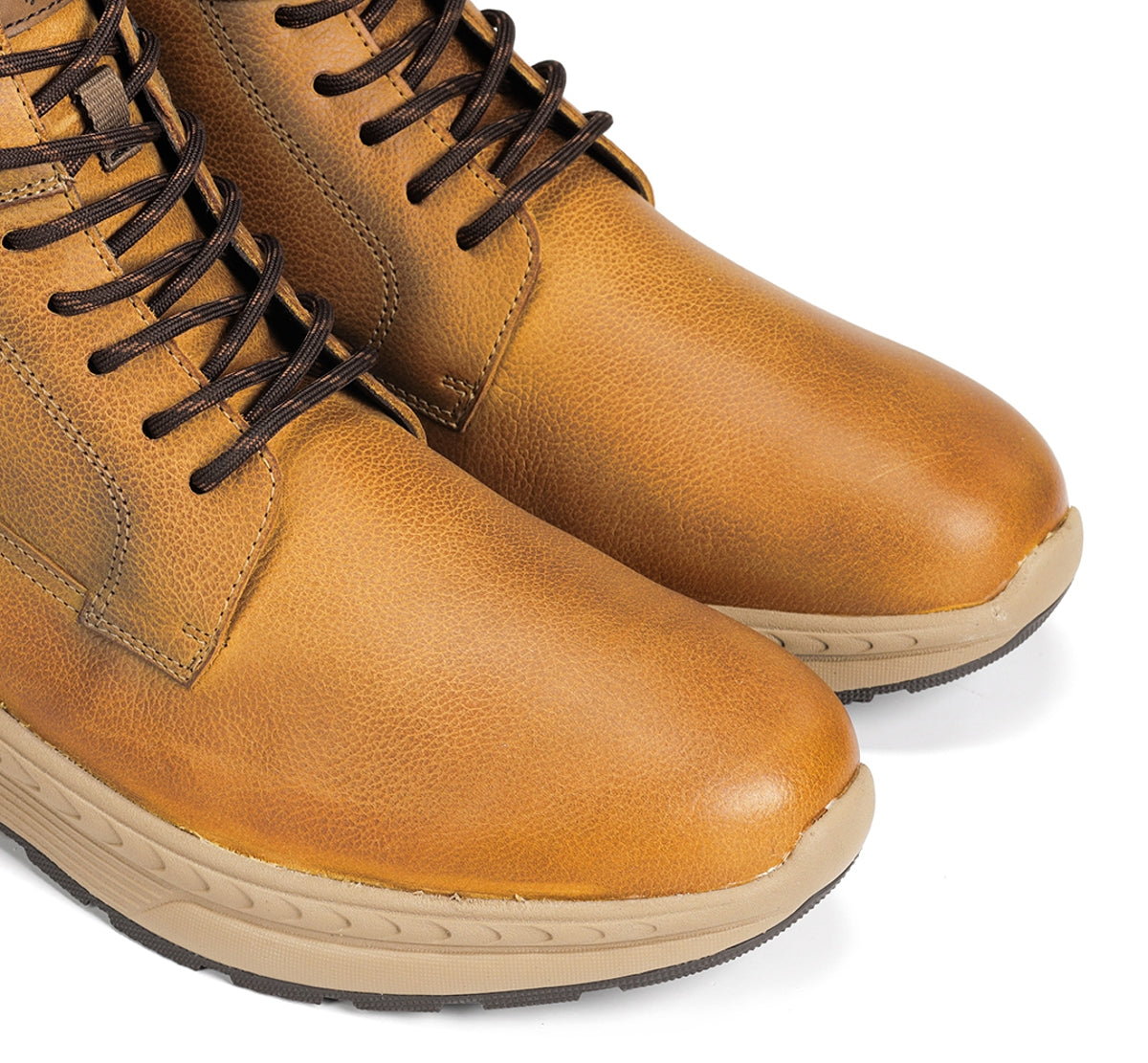 F2292 VEGABUCK TIMBER+COM.5-3