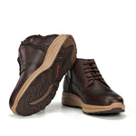 F2291 VEGABUCK CAFE+COM.1-3