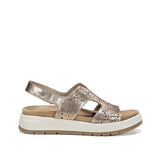 F2007 LAMINADO CAVA-0
