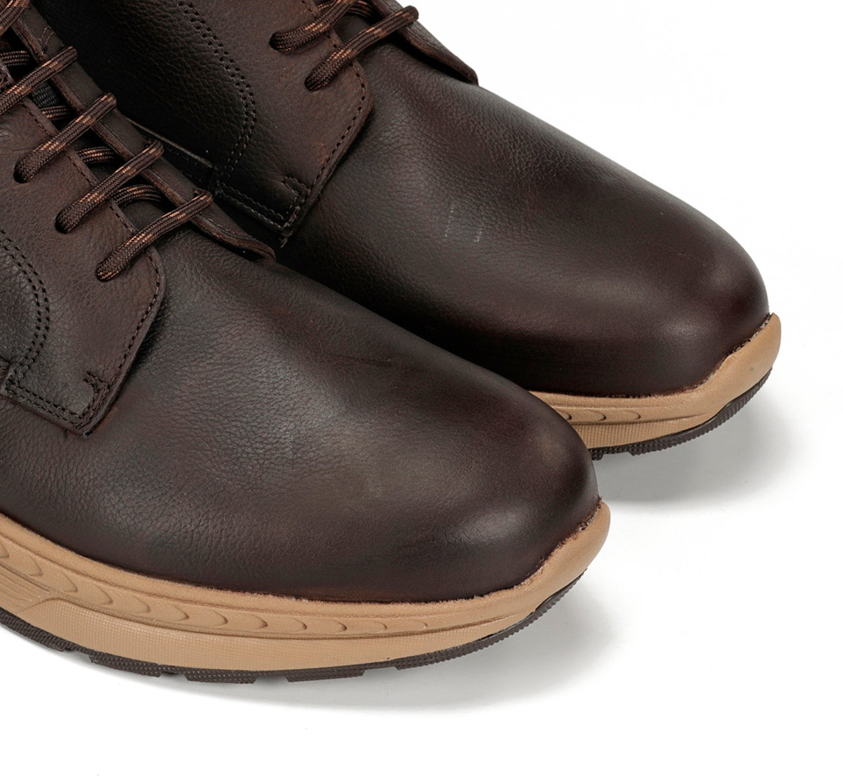 F2291 VEGABUCK CAFE+COM.1-5