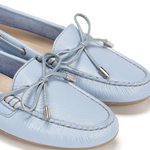 F0443 FLOTTER HORIZON-6