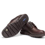 F0247 GRASS LIBANO+COM.2-3