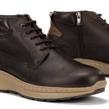 F2291 VEGABUCK CAFE+COM.1-6