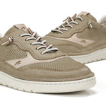 F1943 VEGABUCK TORTORA+COM.5-6