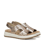 F2007 LAMINADO CAVA-1